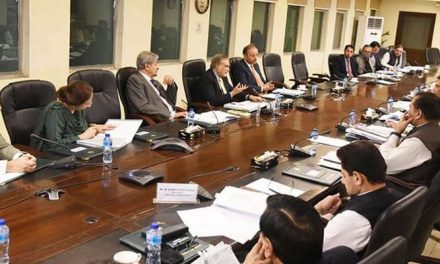 Approval of competitive rates of gas and electricity for export sectors by the Economic Coordination Committee