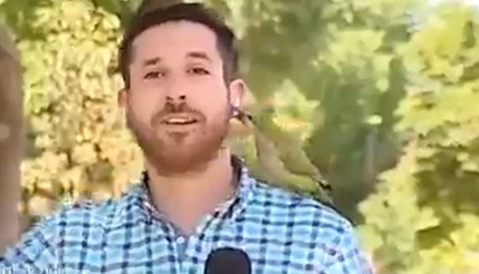 The journalist himself was robbed while reporting on the robberies