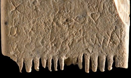 World’s oldest first written sentence discovered