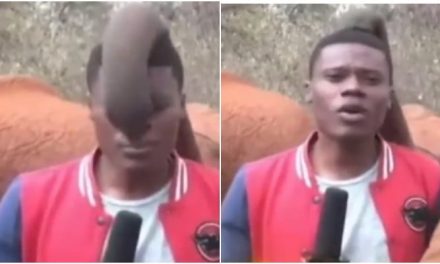 During live reporting, elephant mastiyan with journalist, video goes viral