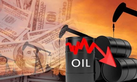Decline in the price of crude oil in the world market