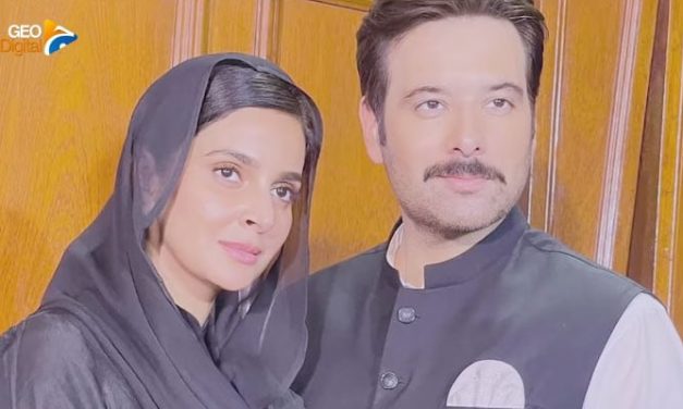 A political web series like Mandi has never been made in Pakistan before, producer Shayan Farooqui