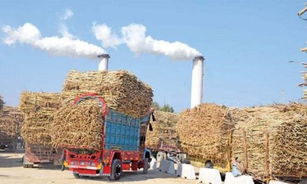 Cases filed against sugar mills that did not start crushing in time in Punjab
