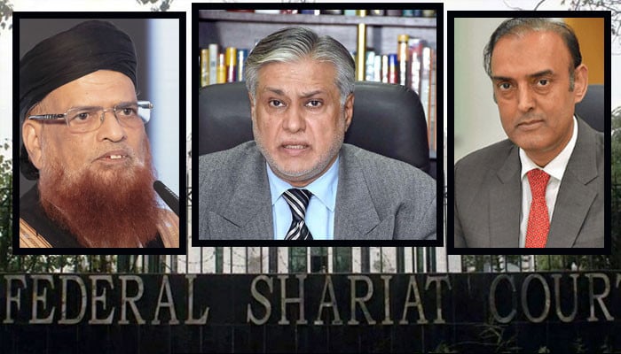 A steering committee was established to implement the decision of the Sharia court regarding the abolition of interest