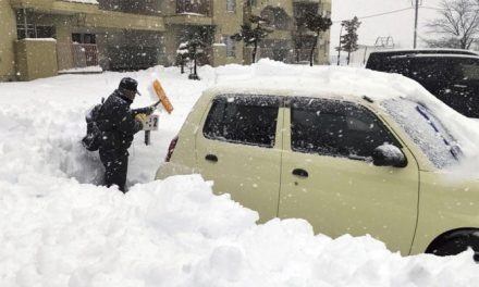 17 people died due to heavy snowfall in Japan