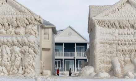After the blizzard in America, the lakeside houses started to present a fascinating sight