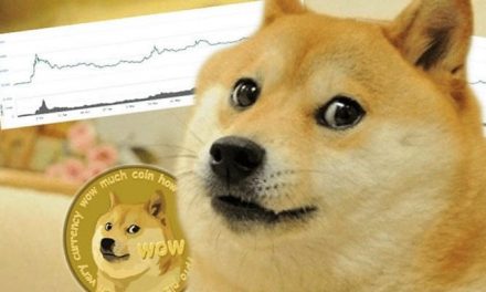 The dog that became internet famous with cryptocurrency memes is suffering from cancer