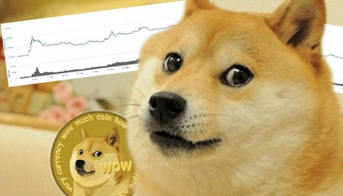 The dog that became internet famous with cryptocurrency memes is suffering from cancer