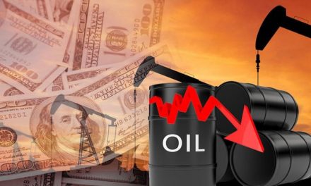 Crude oil prices in the global market have fallen sharply