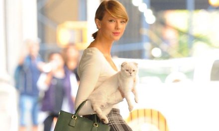 Famous singer’s cat owns more than 22 billion rupees