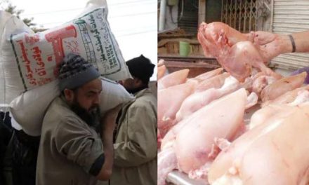 Further reduction in price of flour and chicken meat in Lahore