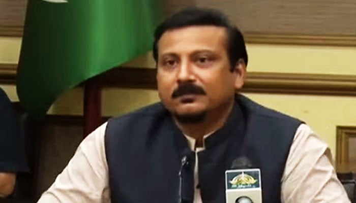 It has been decided to waive fines for containers stuck at ports: Faisal Sabzwari