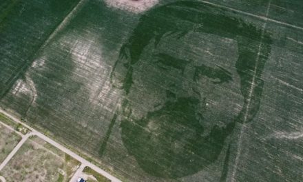 The farmer made a picture of Massey out of the corn crop