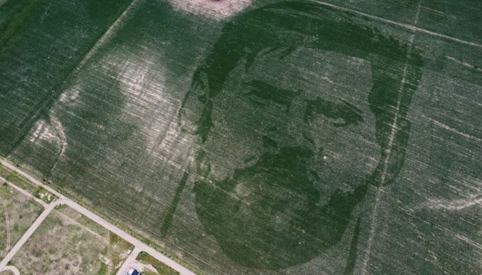 The farmer made a picture of Massey out of the corn crop