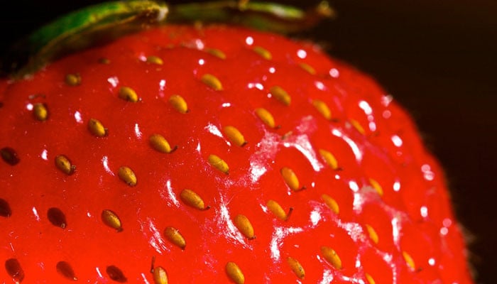 You will be amazed to know the reality of the ‘seeds’ on top of the strawberry