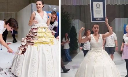 The world’s largest cake dress included in the Guinness World Records