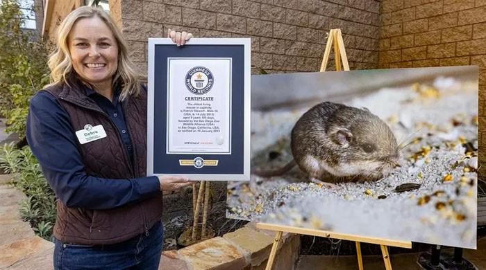 The name of the world’s oldest mouse included in the Guinness Book of World Records