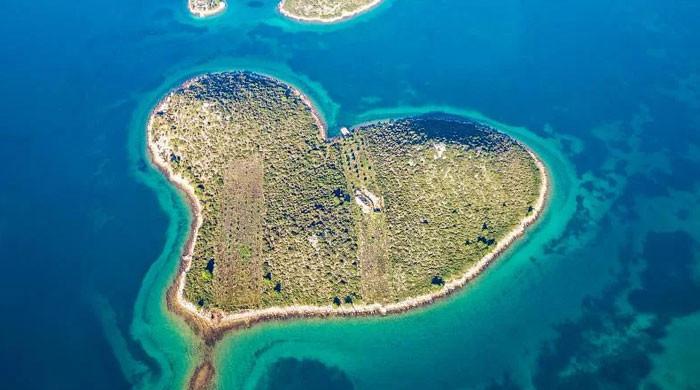 Heart-shaped island for sale on Valentine’s Day, what’s the price?
