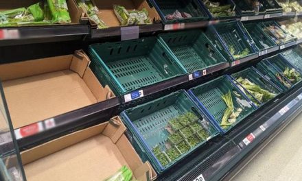 Food shortages in Britain, vegetables and fruits missing from markets