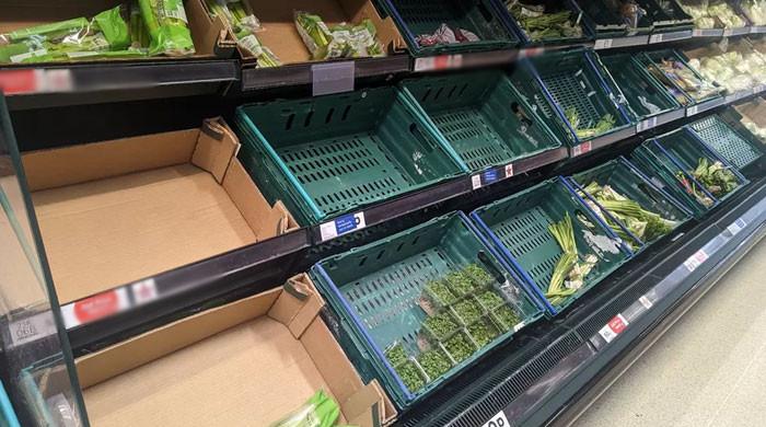Food shortages in Britain, vegetables and fruits missing from markets