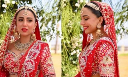 Ushna Shah gave a shout out to the critics of the wedding dress