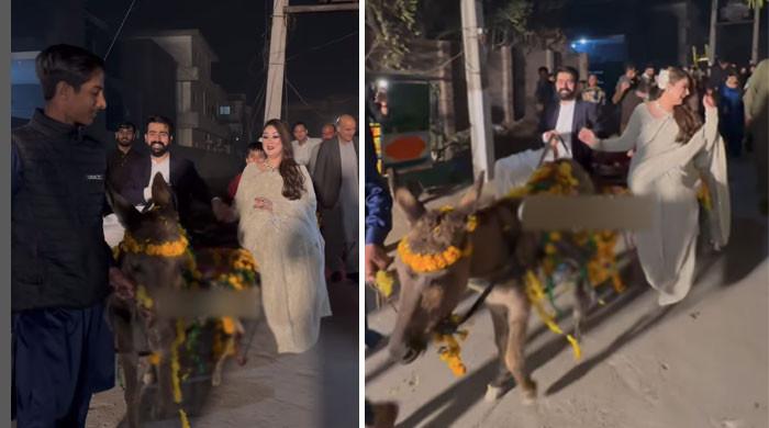 What happened if petrol is expensive?  The bride and groom entered on a donkey cart