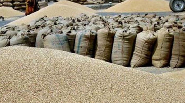 ECC fixed the price of wheat at Rs 3900 per maund