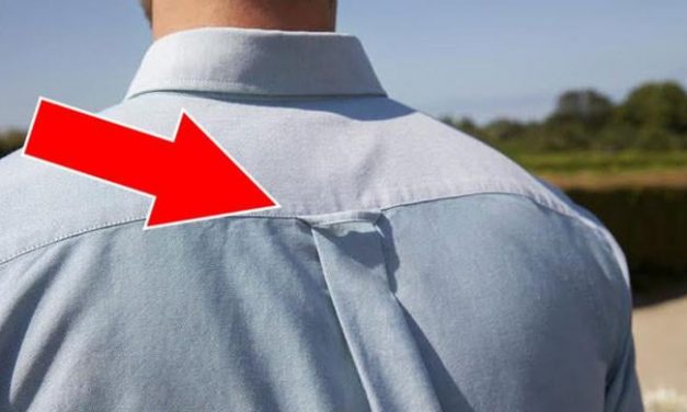 Why is this loop on the back of most shirts?