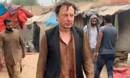 ‘Pakistani Elon Musk after buying fruit’, memes abound on social media