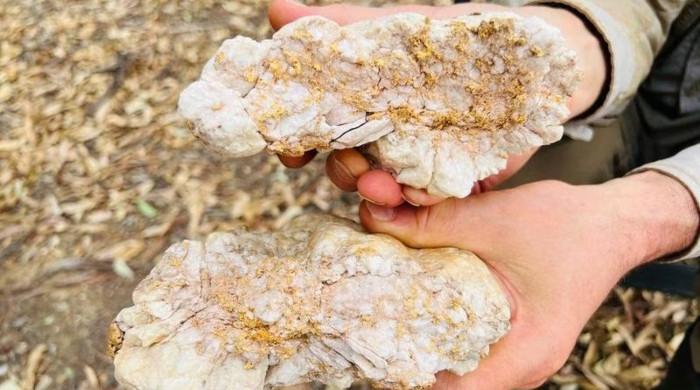 A man found gold worth crores of rupees with a metal detector
