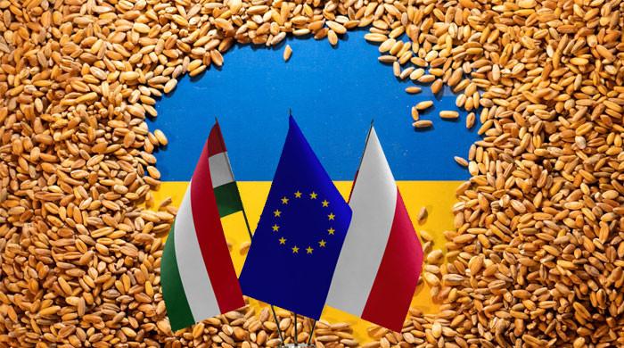 Hungary’s decision not to buy Ukrainian goods, the European Union is furious