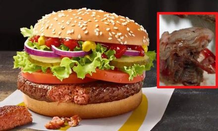 A fast food chain’s burgers have rat filth on them